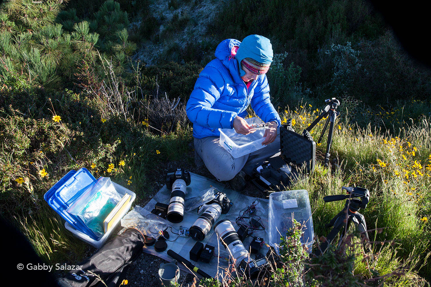 Scientists use various tools to monitor active volcanoes with the goal of predicting future eruptions. Photogrammetry captures photographs that record how the dome changes through time.